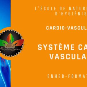 Nutrition pathologie : les maladies cardio-vasculaires